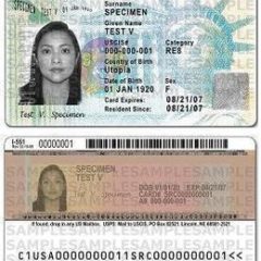 example of a green card